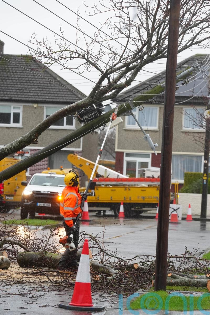ESB chief&rsquo;s claim that customers will cover storm costs &lsquo;insensitive&rsquo; &ndash; Tanaiste
