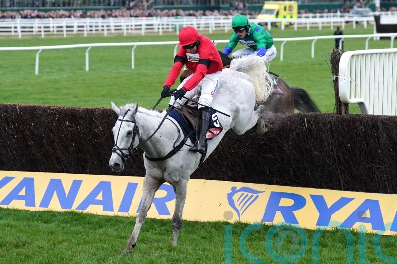 Grey Dawning remains unlikely to take up Gold Cup option