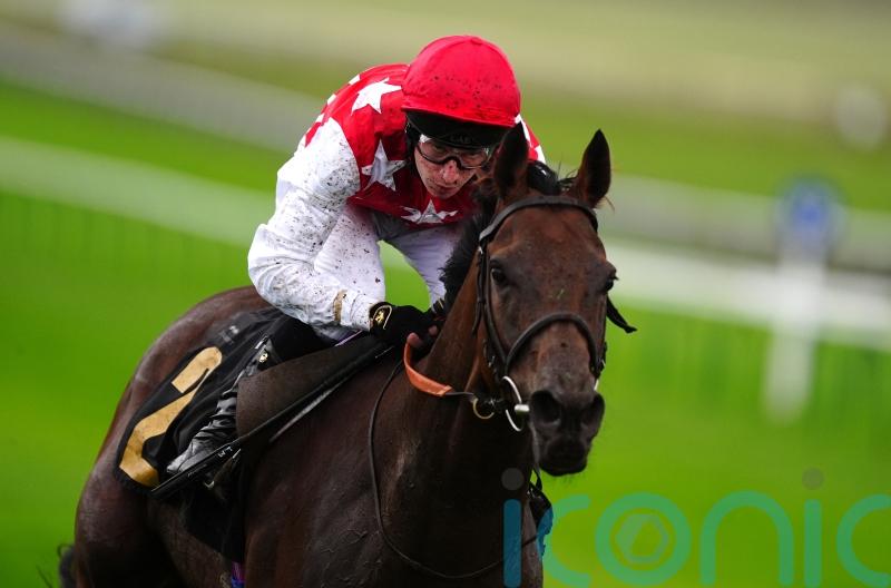 Al Nayyir camp considering Dubai Gold Cup bid after Riyadh run