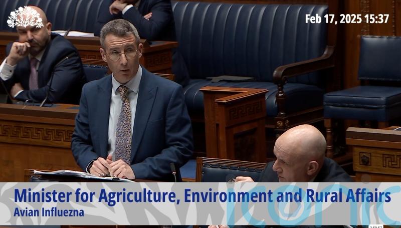 Stormont department took swift action over bird flu, says minister