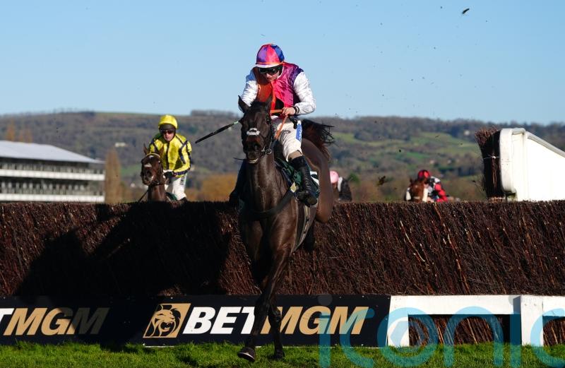 Haiti Couleurs has Curtis dreaming of Cheltenham glory again