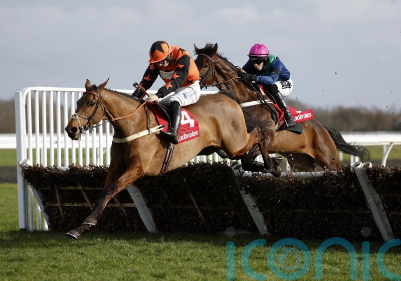 Mambonumberfive a big hit, as Mondo Man disappoints