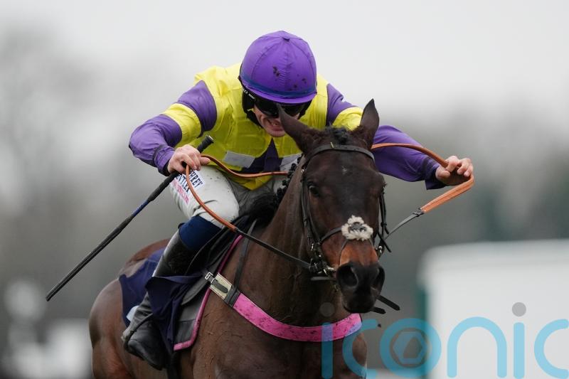 Nemean Lion refuses to be denied in National Spirit