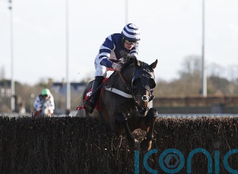 Ultima the top option for Kempton star Katate Dori