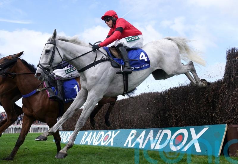 Grey Dawning back on track with Premier performance at Kelso