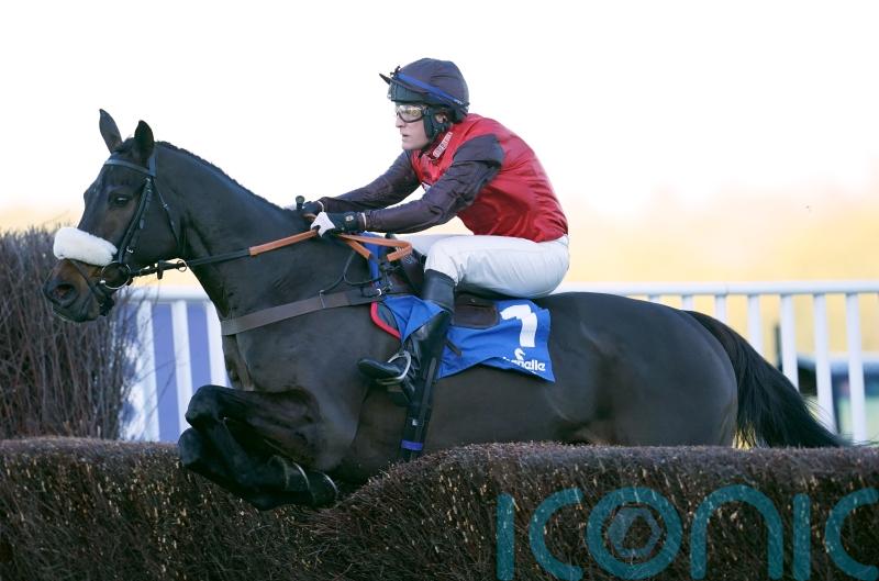 Harry Whittington thrilled to have old favourite Saint Calvados home again