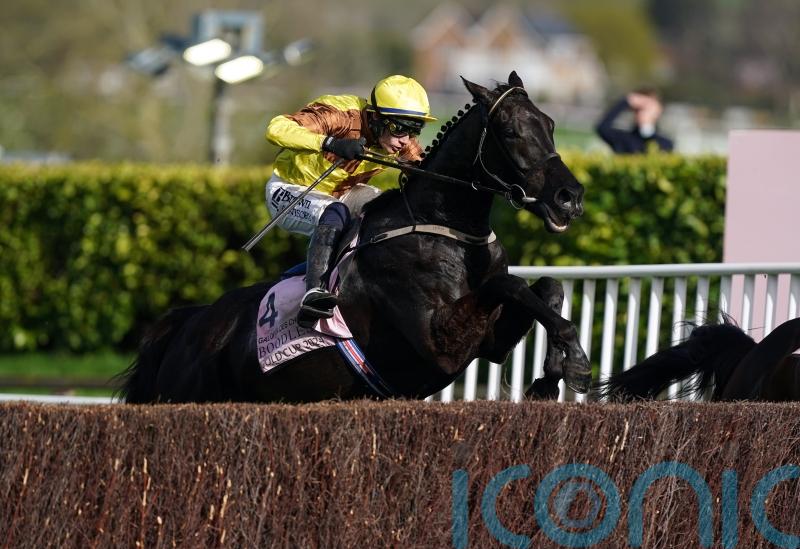 Galopin Des Champs heads nine left chasing Gold Cup glory