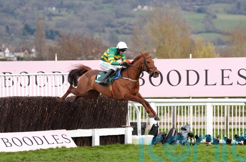 Fourth time lucky for Dinoblue at Cheltenham