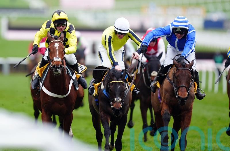 Poniros powers to 100-1 shock in Triumph Hurdle