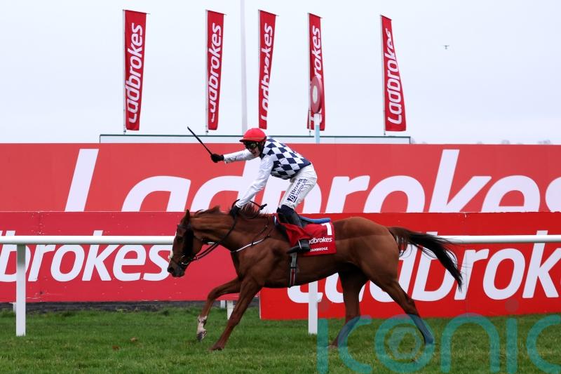 Banbridge on course for Punchestown following Cheltenham disappointment
