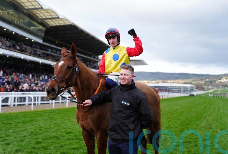 Punchestown and possibly Galway on the radar for Jazzy Matty