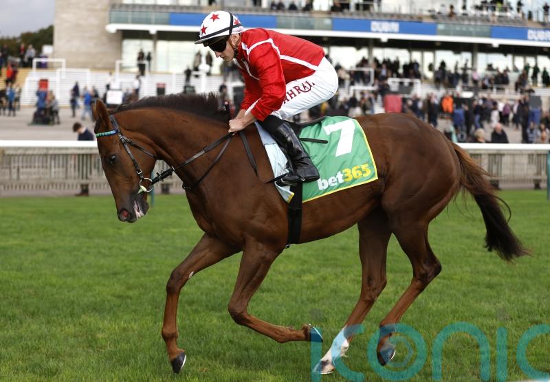Kempton return in the pipeline for Shuwari comeback