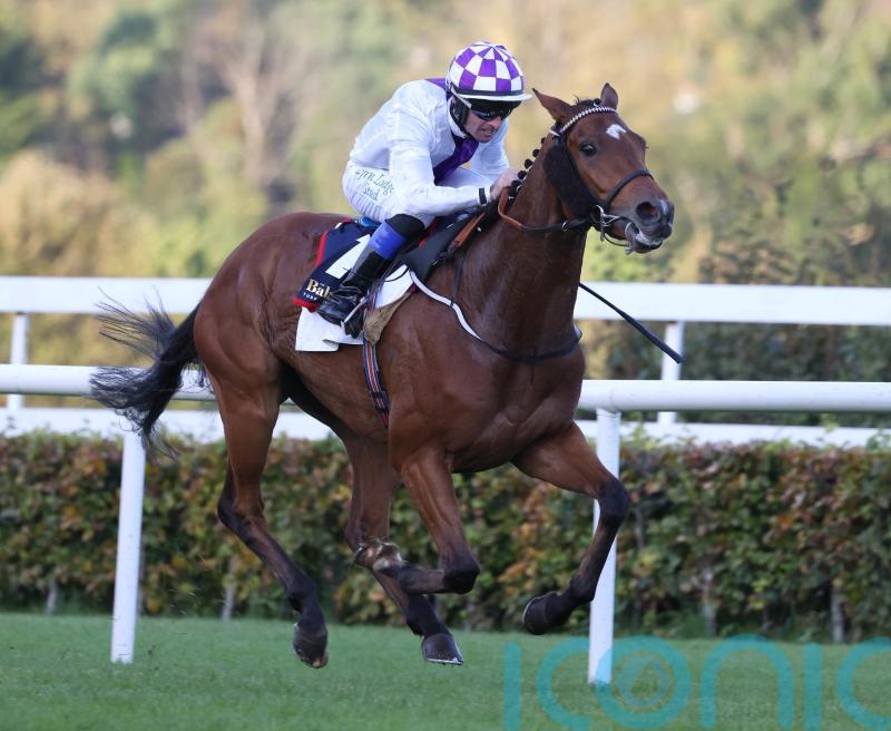 Eastern Legend is rare winner over jumps for Jim Bolger at Navan
