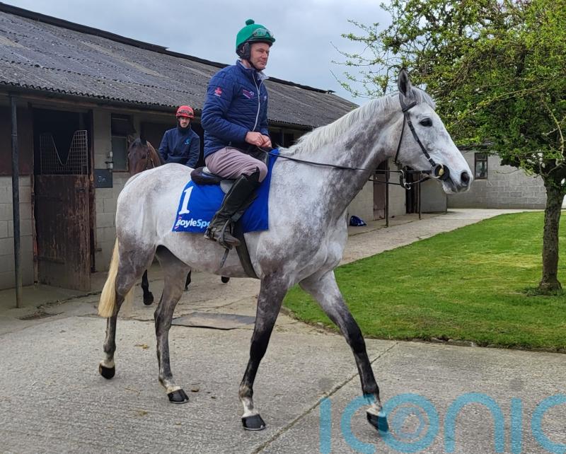 Gibney happy to handle Intense pressure of training National favourite