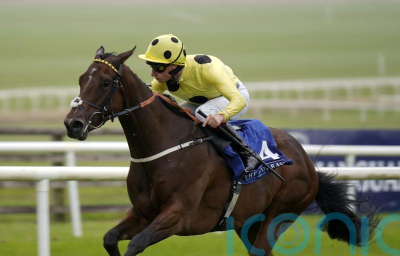 Poet Master seeking Gladness gold on seasonal bow