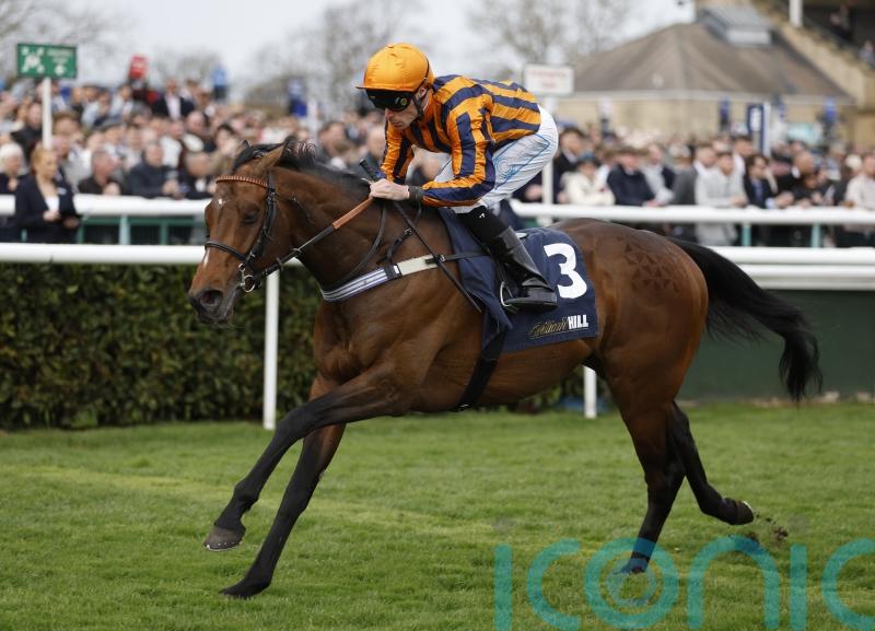 Dancing Gemini shows off winning Mile moves