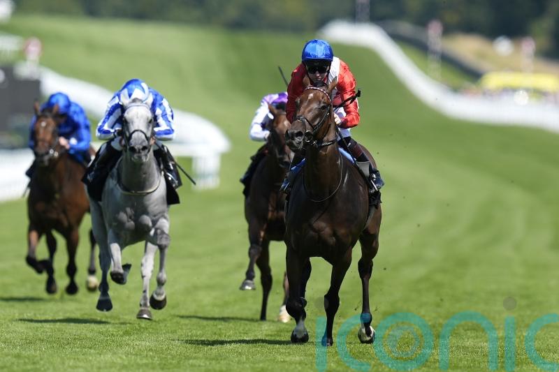 Audience ready for Al Quoz Sprint assignment at Meydan