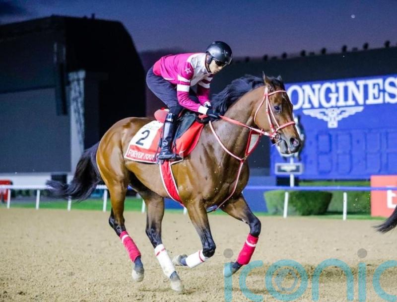 Forever Young primed for Dubai World Cup challenge