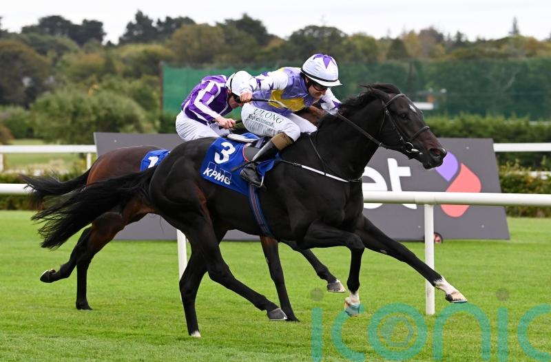 Harrington has &lsquo;vague plan&rsquo; for Guineas contenders