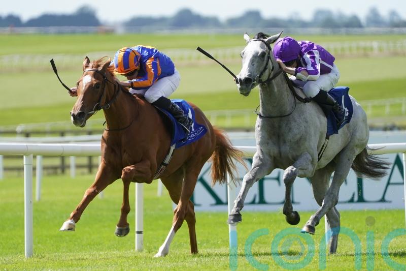 &lsquo;Little setback&rsquo; could delay return of Falling Snow