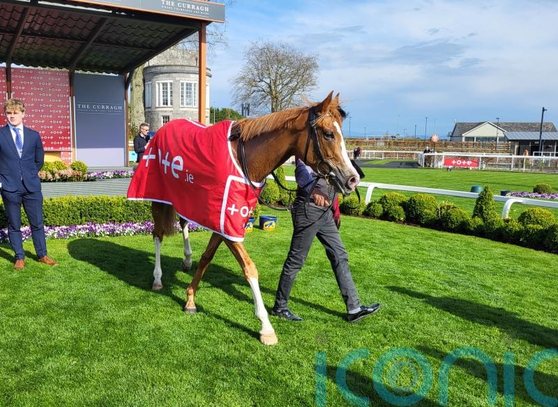 Galen gets the better of Jan Brueghel at the Curragh