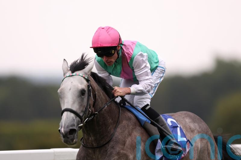 Field Of Gold to spearhead strong Newmarket squad for Gosdens