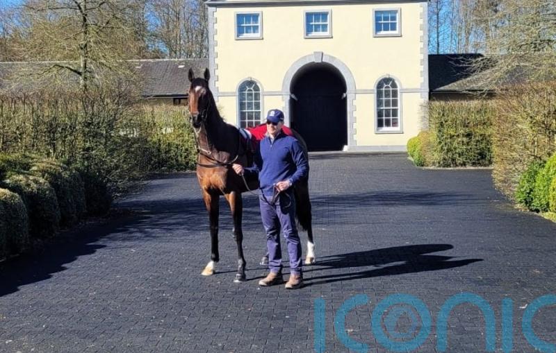 O&rsquo;Brien keen to exorcise City Of Troy Guineas ghost