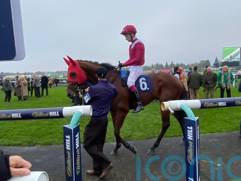 Kaleido team seeking perfect start to new campaign