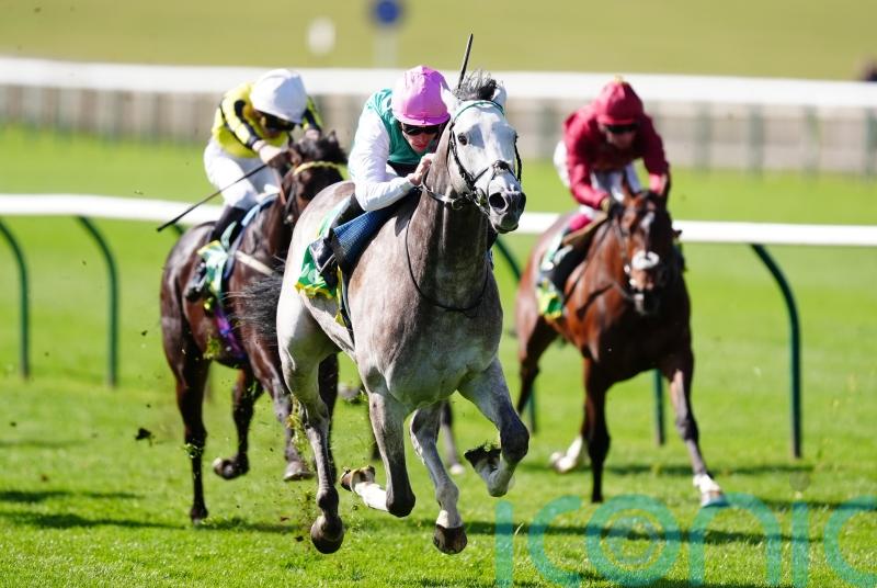 Field Of Gold produces dazzling Craven display