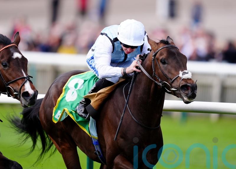 High Stock pleases with winning Wood Ditton debut