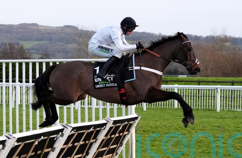 Henderson gives &lsquo;green light&rsquo; for Constitution Hill&rsquo;s Punchestown run