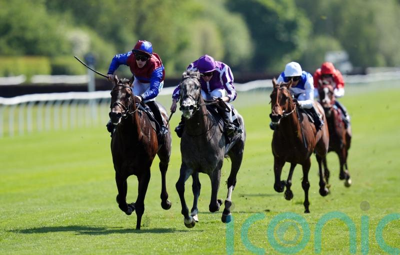 Puppet Master pulls enough strings to shade stablemate Stay True