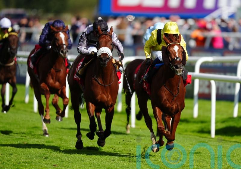 Nakheel captains strong York team for in-form Burrows