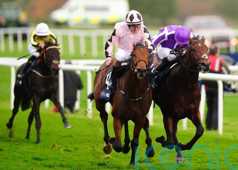 ParisLongchamp absentee Hotazhell rerouted to Irish 2,000 Guineas