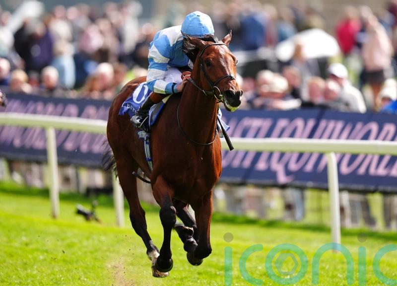 Pride Of Arras stuns Dante field with 18-1 success