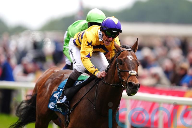 Temple target awaits York hero American Affair