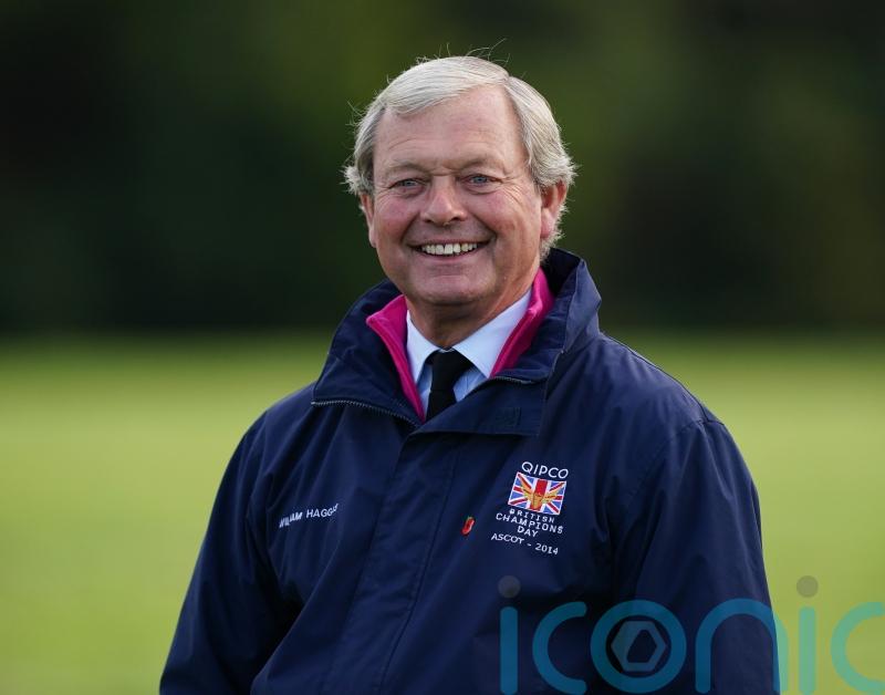 Opportunity knocks for Haggas-trained colt at Goodwood