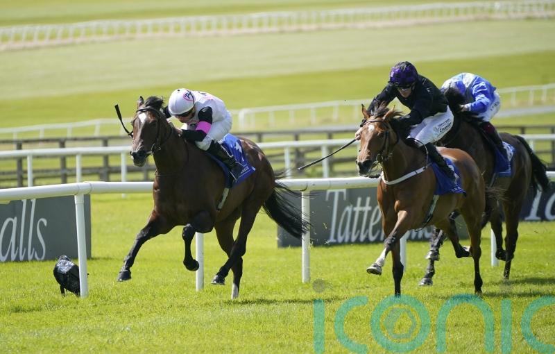 Porta Fortuna makes stylish return to action