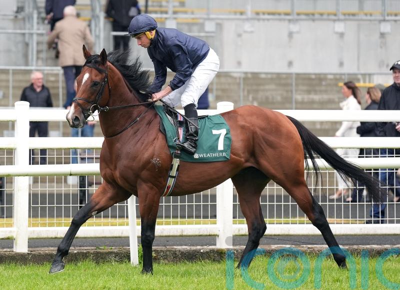 O&rsquo;Brien keeping the faith with Storm Boy