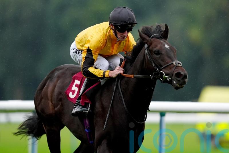 Fellowes looks to Luther for French Classic compensation