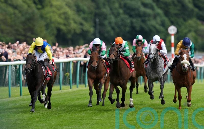 Balmoral Lady takes Haydock step up in class in her stride