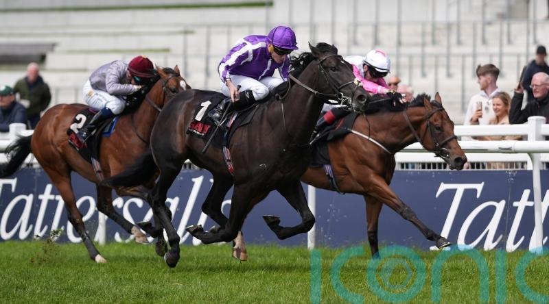 Sprained joint sidelines Albert Einstein