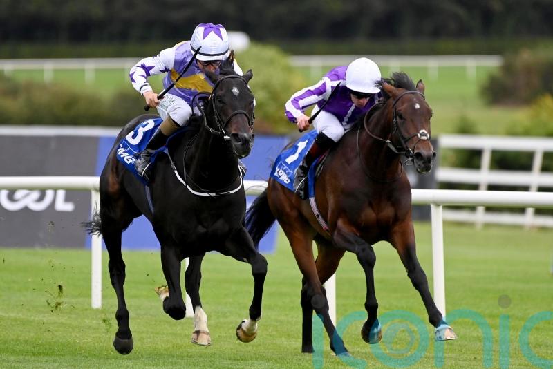Green Impact putting intriguing formlines to the test at Leopardstown