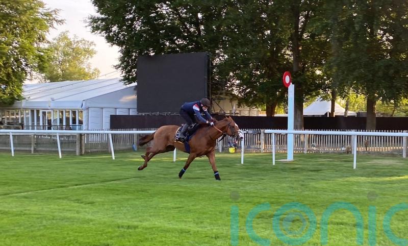 Carl Spackler in great shape with Ascot approaching
