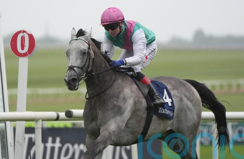 Field Of Gold on course for &rsquo;round two&rsquo; with Ruling Court