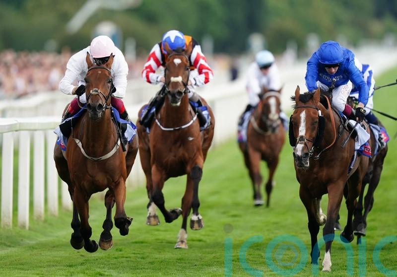 &lsquo;Big run&rsquo; expected from Absurde on York return