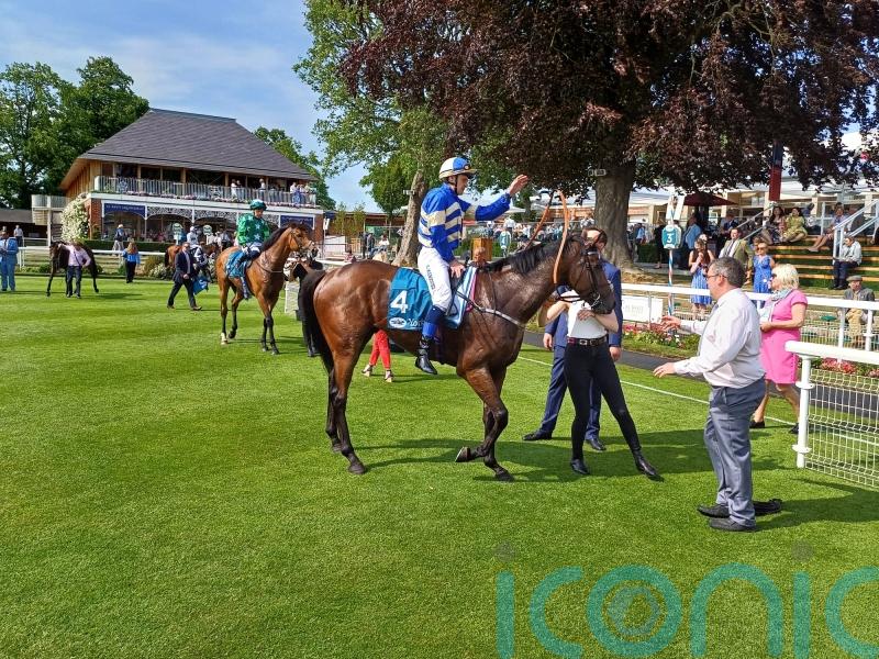 York Eyecatcher See That Storm remains on the upgrade