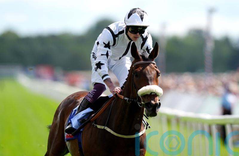 Consistent Al Qareem bags another big prize