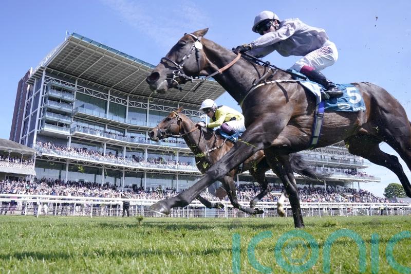 Burke backing Night Raider to make his mark in King Charles speed test