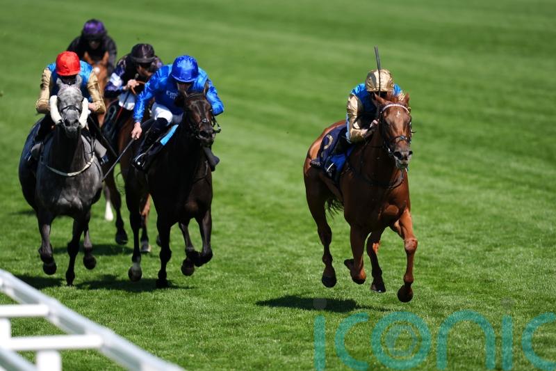 Crimson tide proves unstoppable in Duke of Cambridge